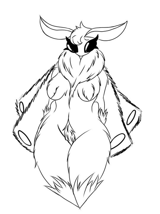 Sketch
